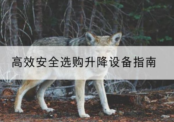 罗甸升降货梯厂家推荐-*安全选购升降设备指南