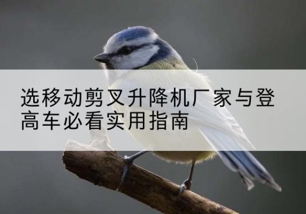 罗甸电动升降机厂家-选移动剪叉升降机厂家与登高车必看实用指南